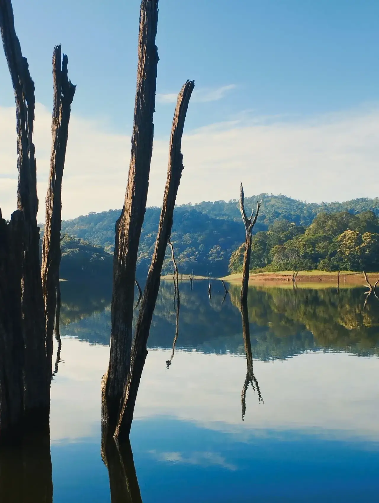 Thekkady lake and forest landscape